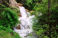 Çamoluk Yenice Şelaleleri